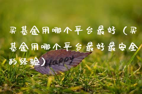 买基金用哪个平台最好（买基金用哪个平台最好最安全的经验）_https://www.qdlswl.com_基金_第1张