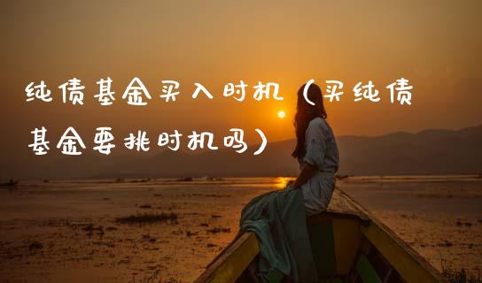 纯债基金买入时机（买纯债基金要挑时机吗）_https://www.qdlswl.com_理财_第1张