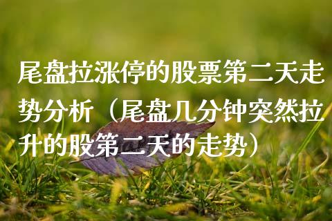 尾盘拉涨停的股票第二天走势分析（尾盘几分钟突然拉升的股第二天的走势）_https://www.qdlswl.com_股票_第1张