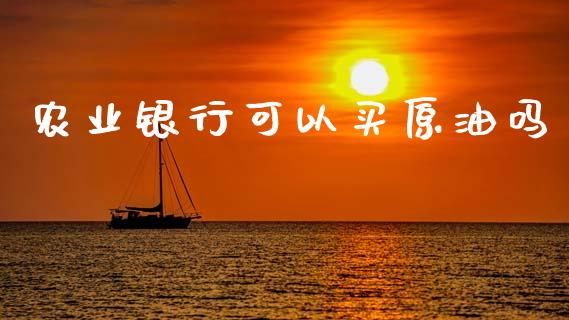 农业银行可以买原油吗_https://www.qdlswl.com_直播_第1张