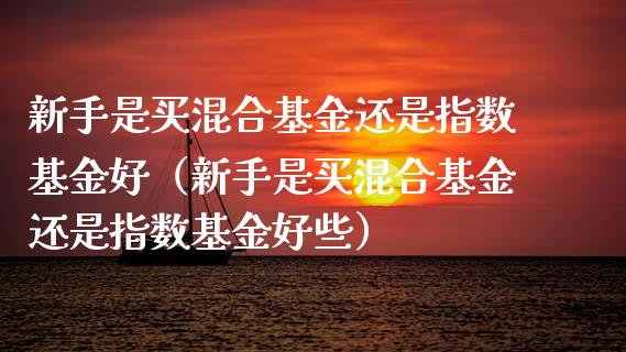 新手是买混合基金还是指数基金好（新手是买混合基金还是指数基金好些）_https://www.qdlswl.com_理财_第1张