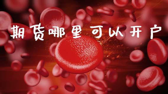 期货哪里可以开户_https://www.qdlswl.com_内盘_第1张