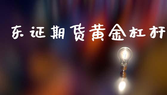 东证期货黄金杠杆_https://www.qdlswl.com_股指_第1张