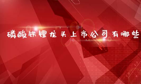 磷酸铁锂龙头上市公司有哪些_https://www.qdlswl.com_期货_第1张