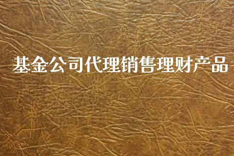 基金公司代理销售理财产品_https://www.qdlswl.com_理财_第1张