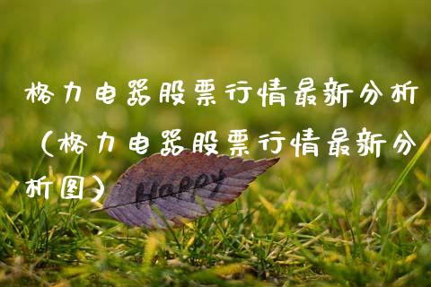 格力电器股票行情最新分析（格力电器股票行情最新分析图）_https://www.qdlswl.com_外盘_第1张
