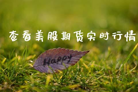 查看美股期货实时行情_https://www.qdlswl.com_期货_第1张
