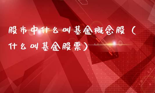 股市中什么叫基金概念股（什么叫基金股票）_https://www.qdlswl.com_基金_第1张