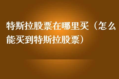 特斯拉股票在哪里买（怎么能买到特斯拉股票）_https://www.qdlswl.com_内盘_第1张