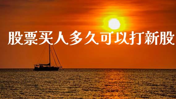 股票买人多久可以打新股_https://www.qdlswl.com_理财_第1张