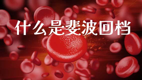 什么是斐波回档_https://www.qdlswl.com_基金_第1张