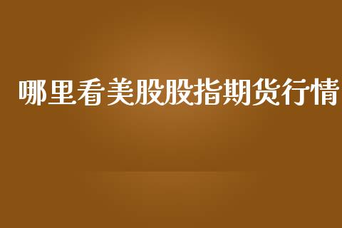 哪里看美股股指期货行情_https://www.qdlswl.com_直播_第1张