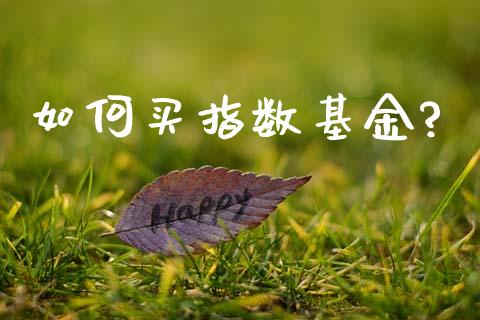 如何买指数基金?_https://www.qdlswl.com_期货_第1张