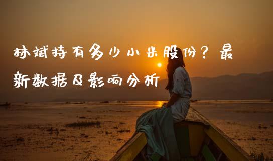 林斌持有多少小米股份？最新数据及影响分析_https://www.qdlswl.com_直播_第1张