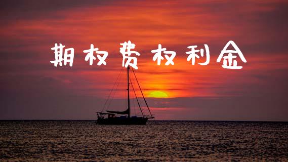 期权费权利金_https://www.qdlswl.com_内盘_第1张