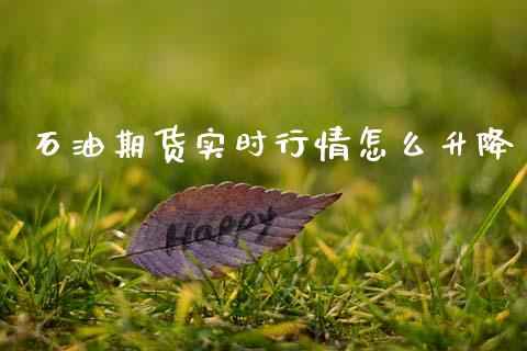 石油期货实时行情怎么升降_https://www.qdlswl.com_股指_第1张
