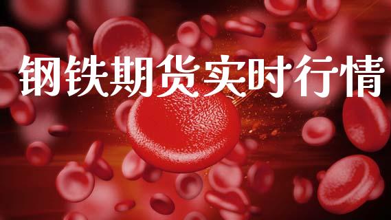 钢铁期货实时行情_https://www.qdlswl.com_期货_第1张