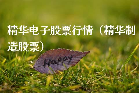 精华电子股票行情（精华制造股票）_https://www.qdlswl.com_外盘_第1张