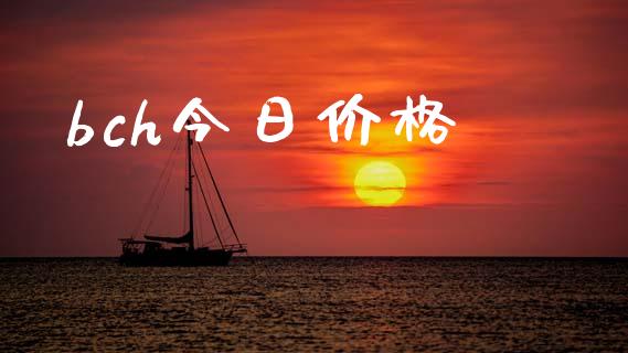 bch今日价格_https://www.qdlswl.com_直播_第1张