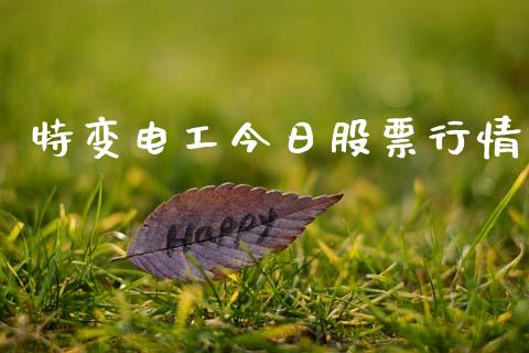 特变电工今日股票行情_https://www.qdlswl.com_内盘_第1张