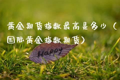 黄金期货指数最高是多少（国际黄金指数期货）_https://www.qdlswl.com_期货_第1张