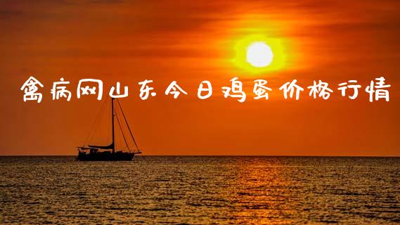 禽病网山东今日鸡蛋价格行情_https://www.qdlswl.com_股指_第1张
