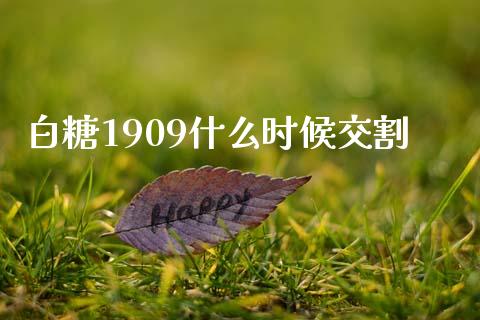 白糖1909什么时候交割_直播_第1张_青岛财经网 白糖1909什么时候交割_https://www.qdlswl.com_直播_第1张