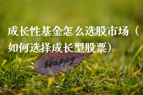 成长性基金怎么选股市场（如何选择成长型股票）_https://www.qdlswl.com_理财_第1张