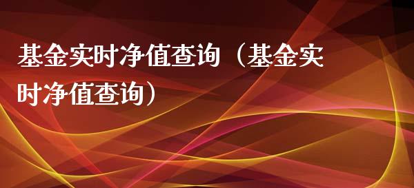 基金实时净值查询（基金实时净值查询）_https://www.qdlswl.com_理财_第1张