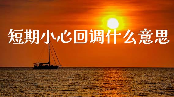 短期小心回调什么意思_https://www.qdlswl.com_股票_第1张