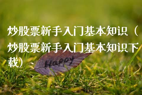 炒股票新手入门基本知识（炒股票新手入门基本知识下载）_https://www.qdlswl.com_股票_第1张