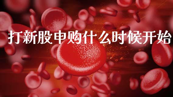 打新股申购什么时候开始_https://www.qdlswl.com_内盘_第1张