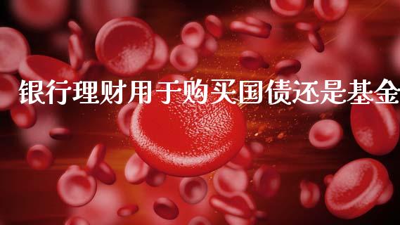 银行理财用于购买国债还是基金_https://www.qdlswl.com_理财_第1张