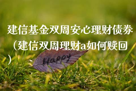建信基金双周安心理财债券（建信双周理财a如何赎回）_https://www.qdlswl.com_理财_第1张