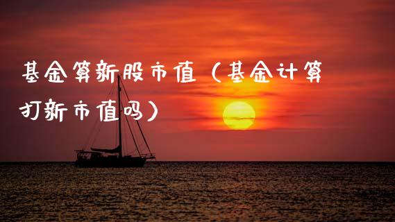 基金算新股市值（基金计算打新市值吗）_https://www.qdlswl.com_理财_第1张
