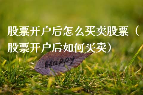 股票开户后怎么买卖股票（股票开户后如何买卖）_https://www.qdlswl.com_内盘_第1张
