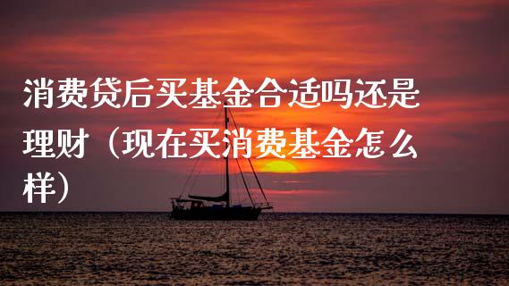 消费贷后买基金合适吗还是理财（现在买消费基金怎么样）_https://www.qdlswl.com_理财_第1张
