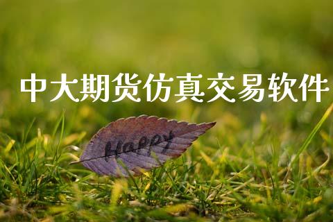 中大期货仿真交易软件_https://www.qdlswl.com_外盘_第1张