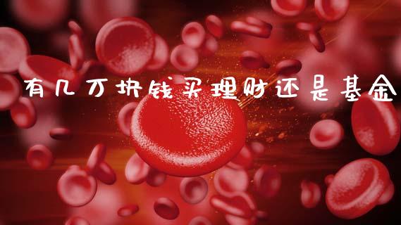 有几万块钱买理财还是基金_https://www.qdlswl.com_基金_第1张