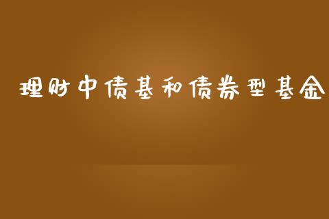 理财中债基和债券型基金_https://www.qdlswl.com_理财_第1张