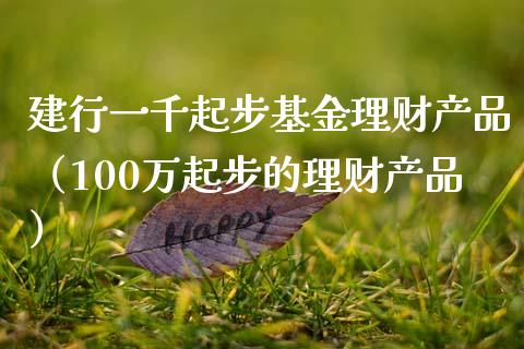 建行一千起步基金理财产品（100万起步的理财产品）_https://www.qdlswl.com_基金_第1张