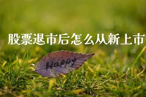 股票退市后怎么从新上市_https://www.qdlswl.com_理财_第1张