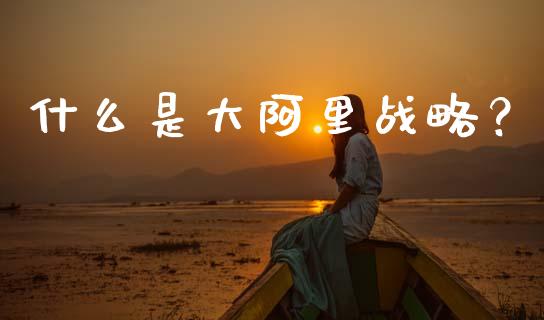 什么是大阿里战略？_https://www.qdlswl.com_理财_第1张