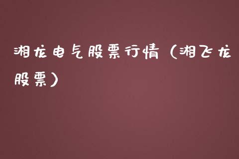 湘龙电气股票行情（湘飞龙股票）_https://www.qdlswl.com_内盘_第1张