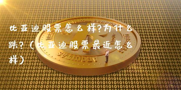 比亚迪股票怎么样?为什么跌?（比亚迪股票最近怎么样）_https://www.qdlswl.com_内盘_第1张