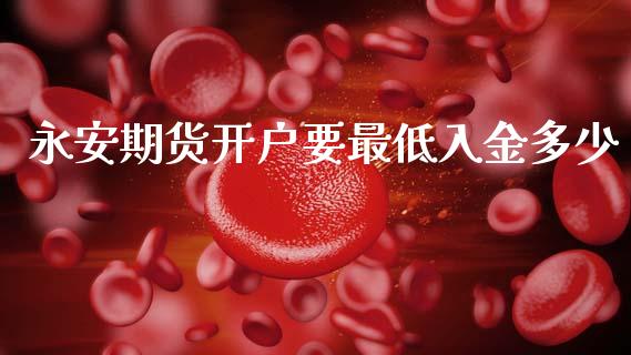 永安期货开户要最低入金多少_https://www.qdlswl.com_期货_第1张