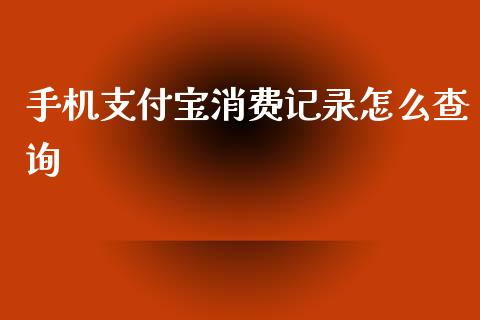 手机支付宝消费记录怎么查询_https://www.qdlswl.com_外盘_第1张