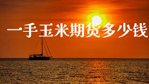一手玉米期货多少钱_https://www.qdlswl.com_股票_第1张