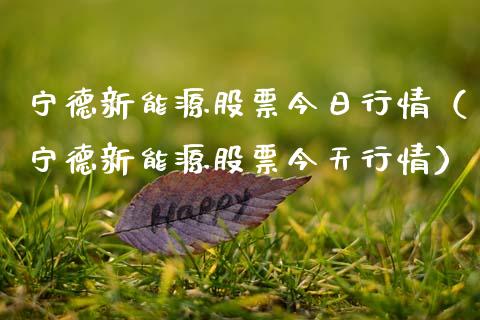 宁德新能源股票今日行情（宁德新能源股票今天行情）_https://www.qdlswl.com_内盘_第1张