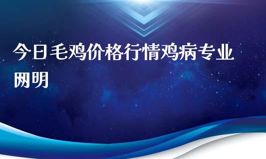 今日毛鸡价格行情鸡病专业网明_https://www.qdlswl.com_股指_第1张